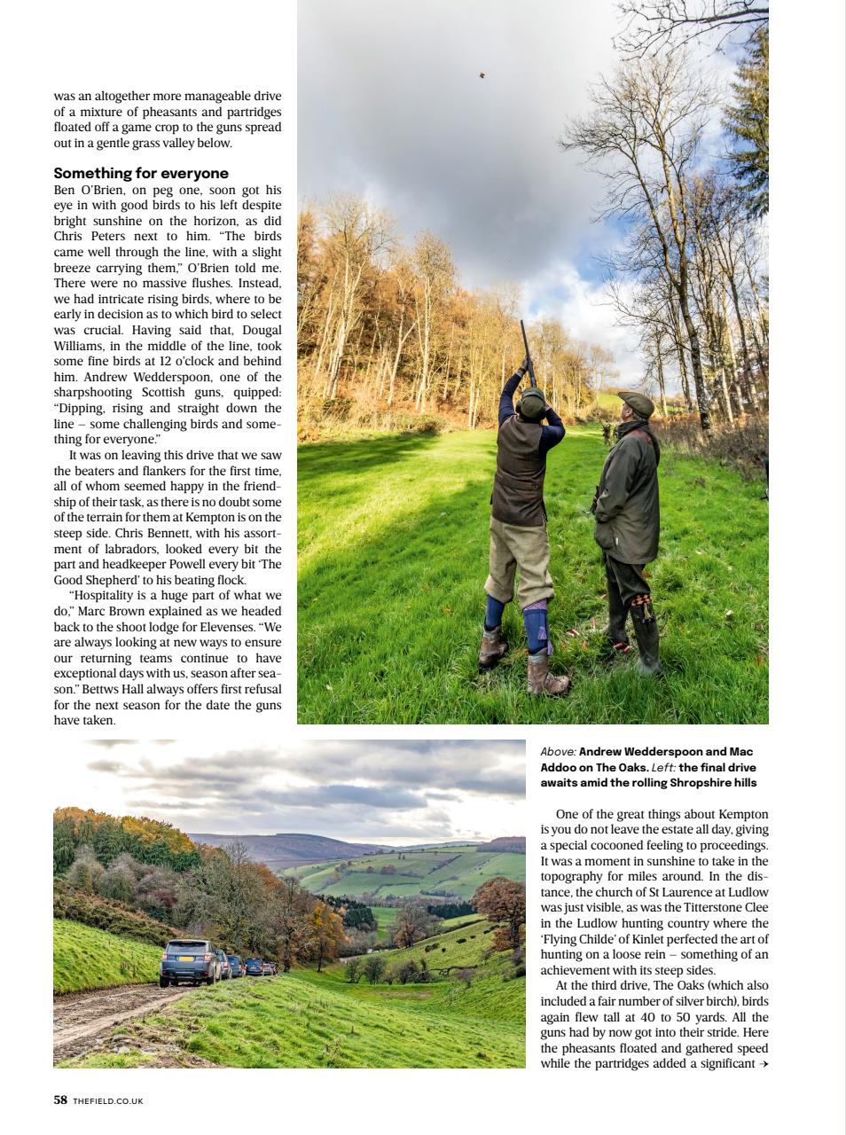 The Field Preview Pages