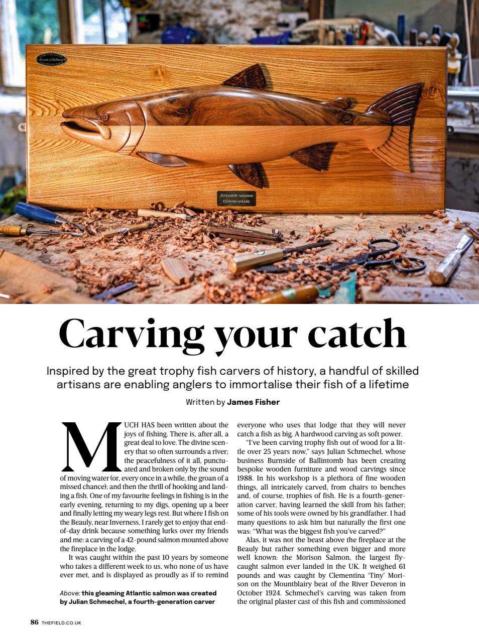 The Field Preview Pages