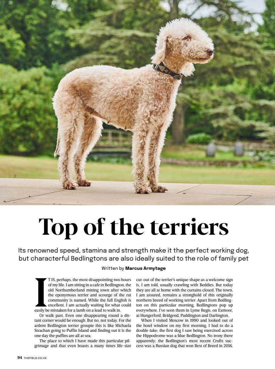 The Field Preview Pages