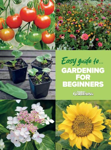 Amateur Gardening issue 