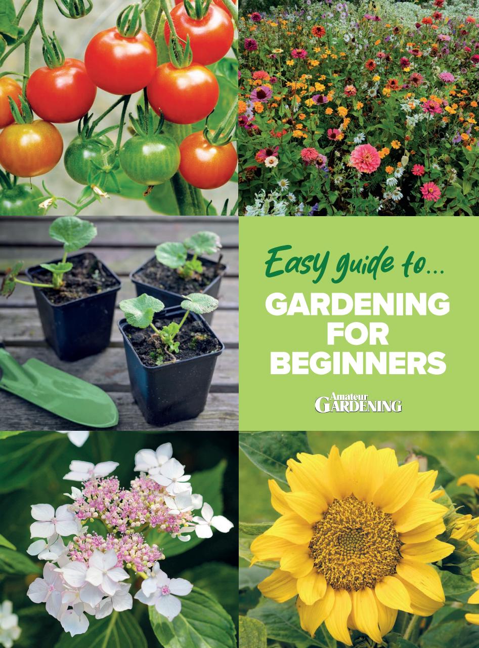 Amateur Gardening Preview Pages
