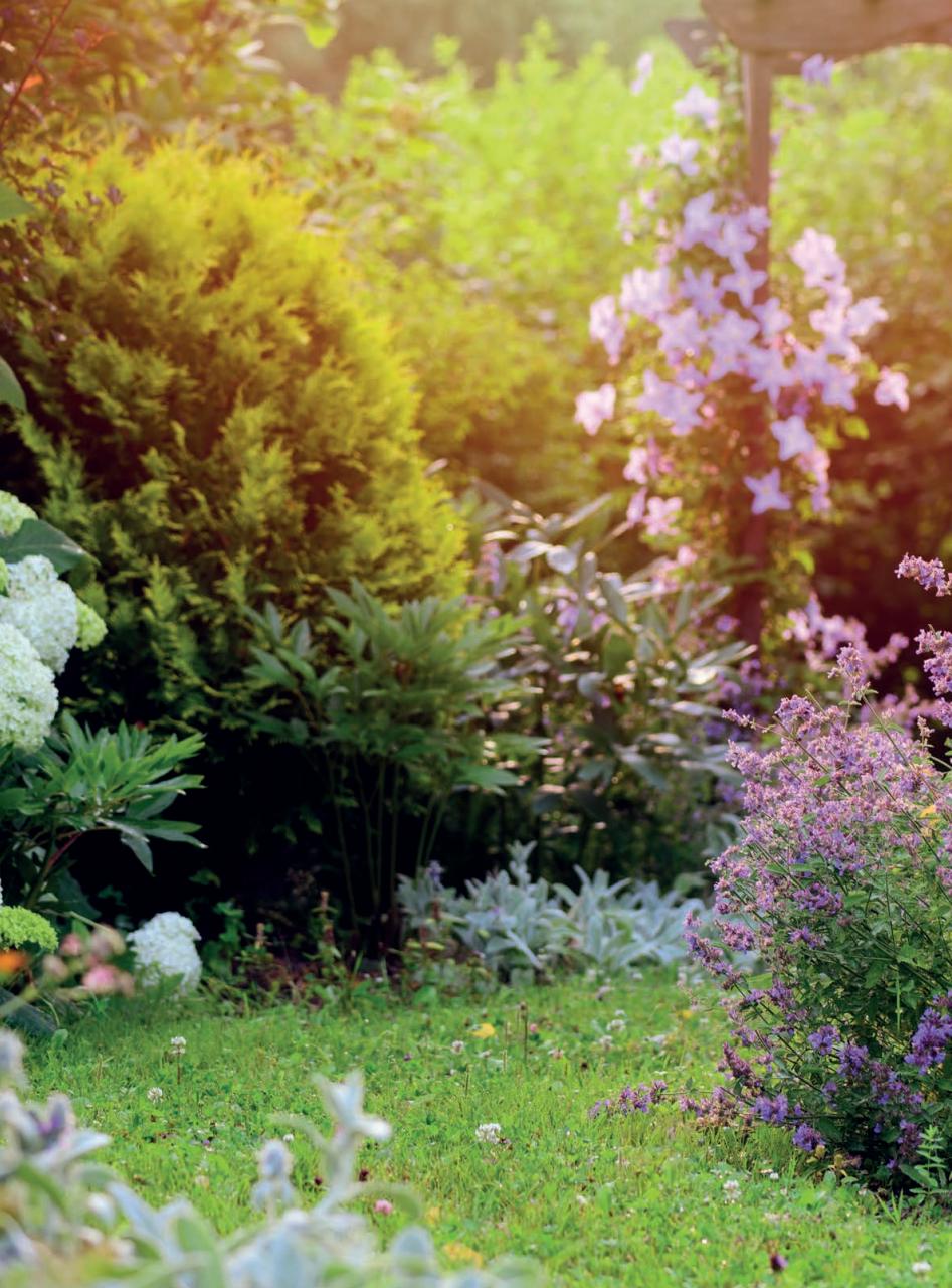 Amateur Gardening Preview Pages