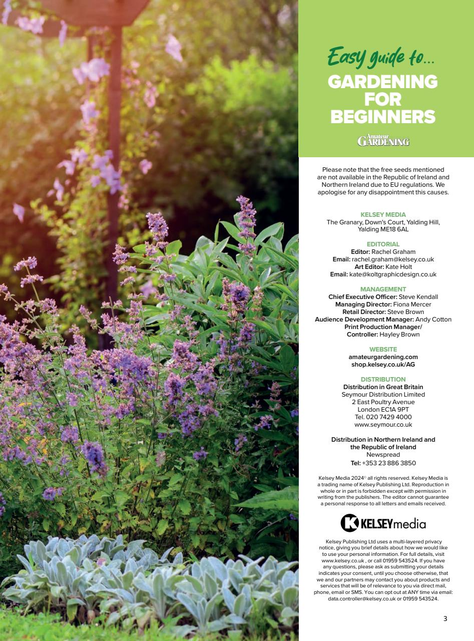 Amateur Gardening Preview Pages