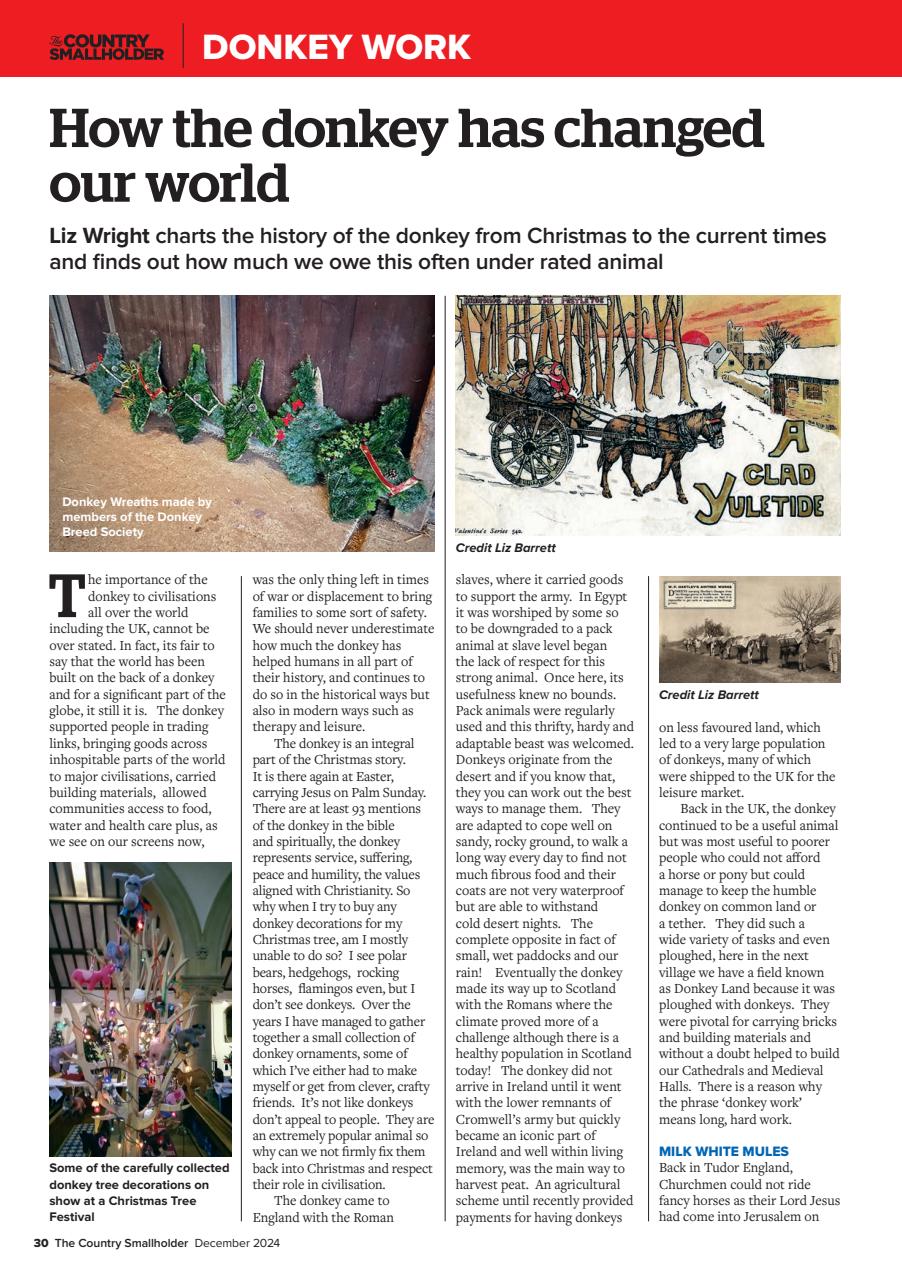 The Country Smallholder Preview Pages