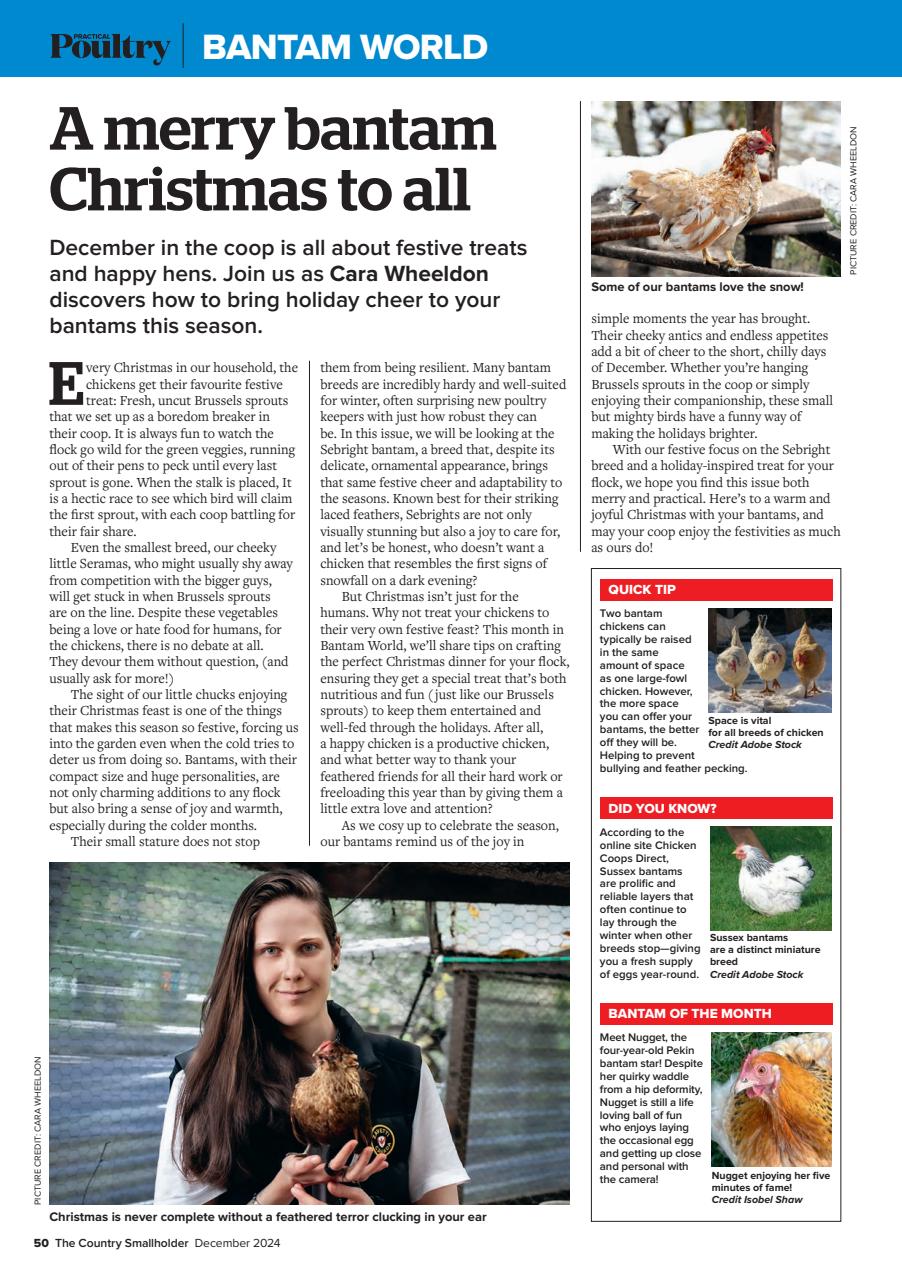 The Country Smallholder Preview Pages