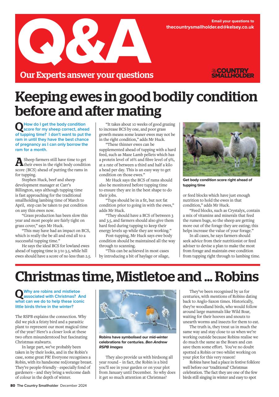 The Country Smallholder Preview Pages