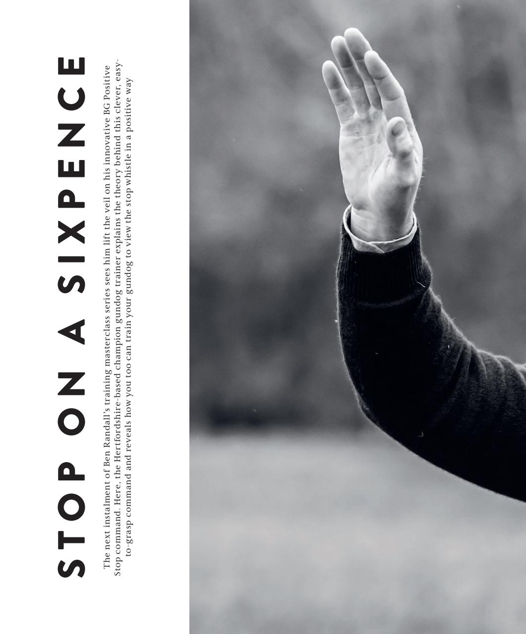 Gundog Journal Preview Pages