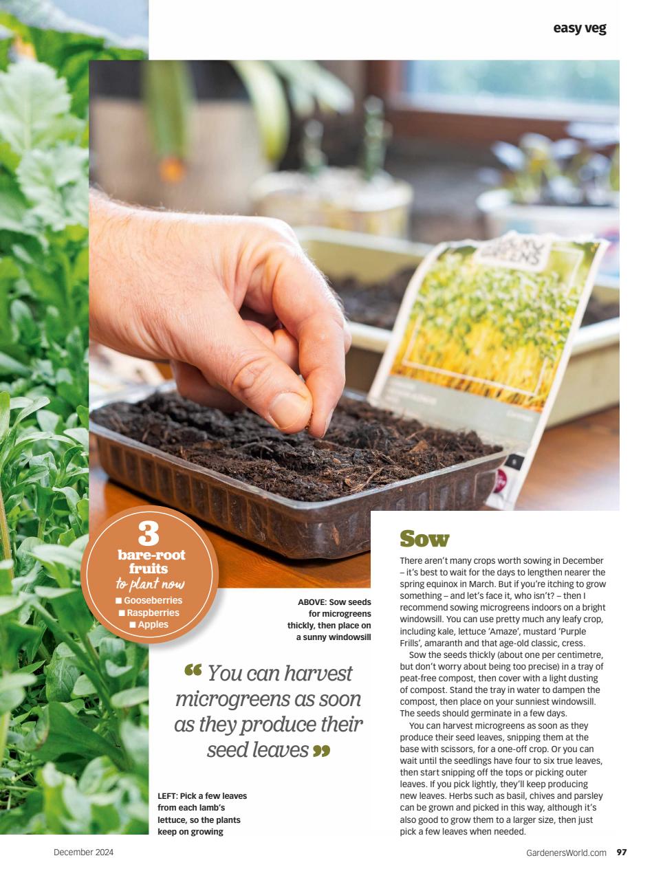 BBC Gardeners’ World Magazine Preview Pages