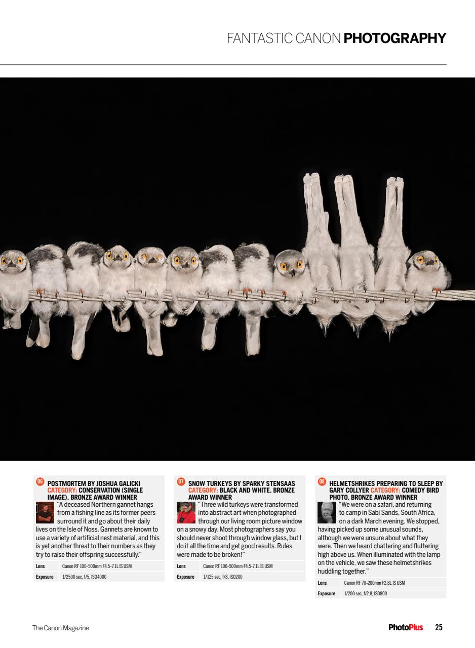 PhotoPlus Preview Pages