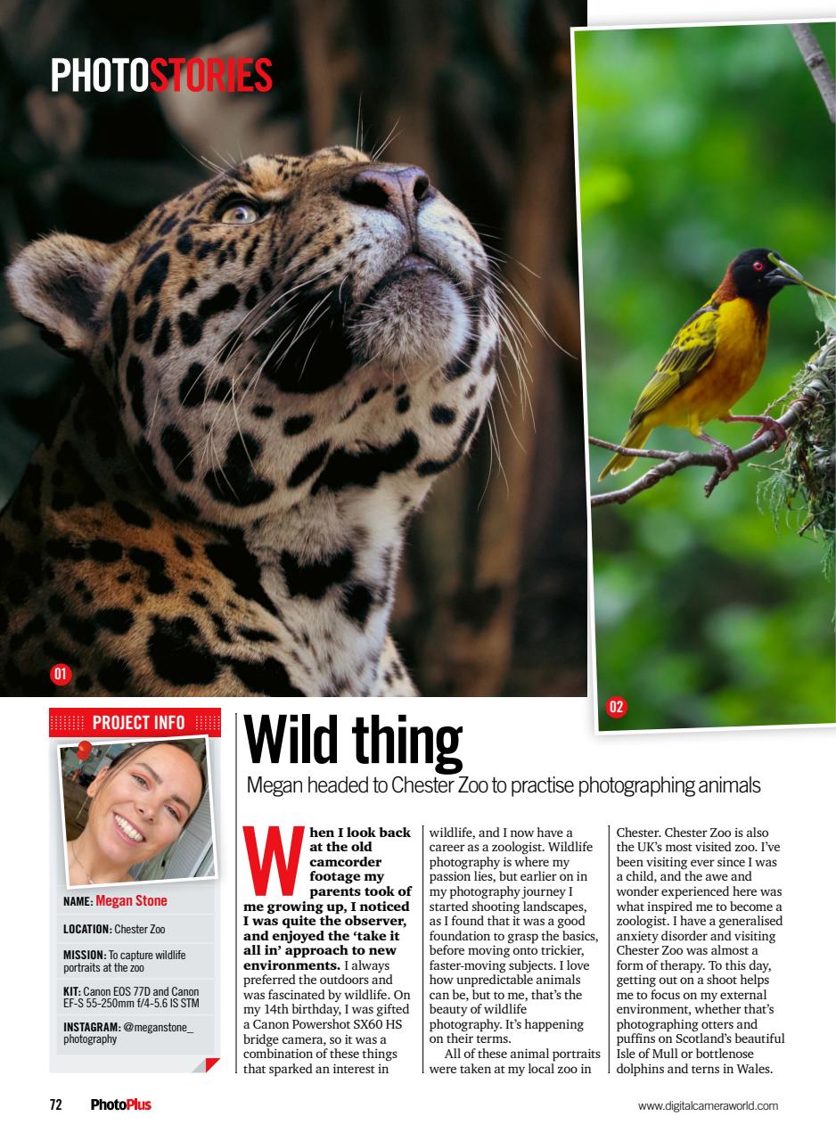 PhotoPlus Preview Pages