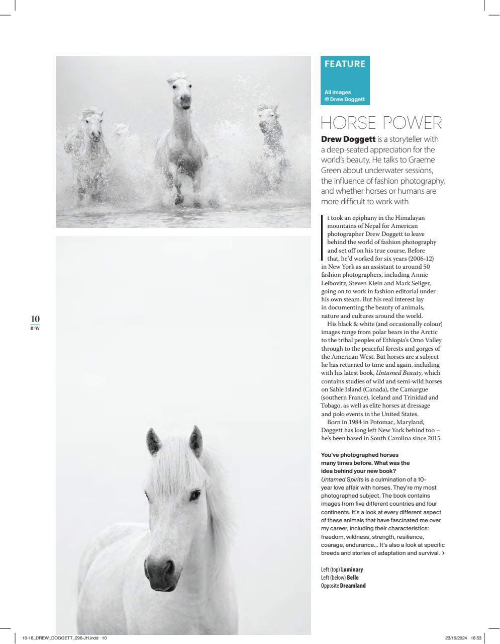 Black+White Photography Preview Pages