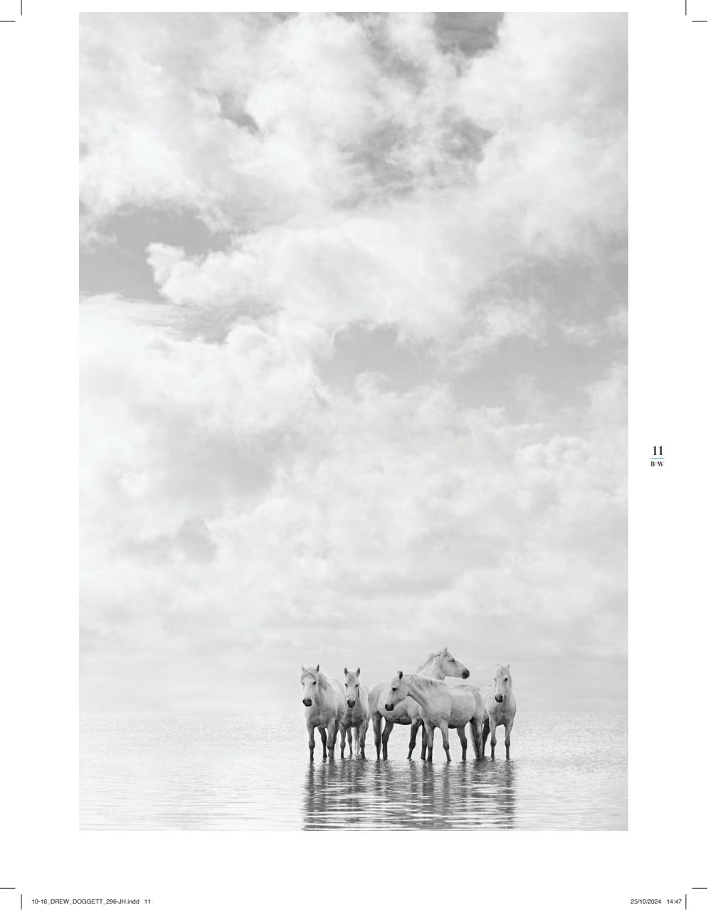 Black+White Photography Preview Pages