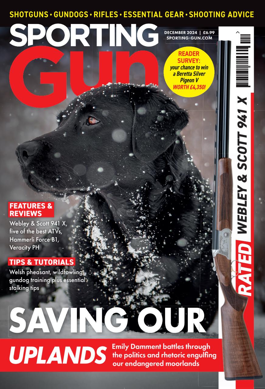 Sporting Gun Preview Pages