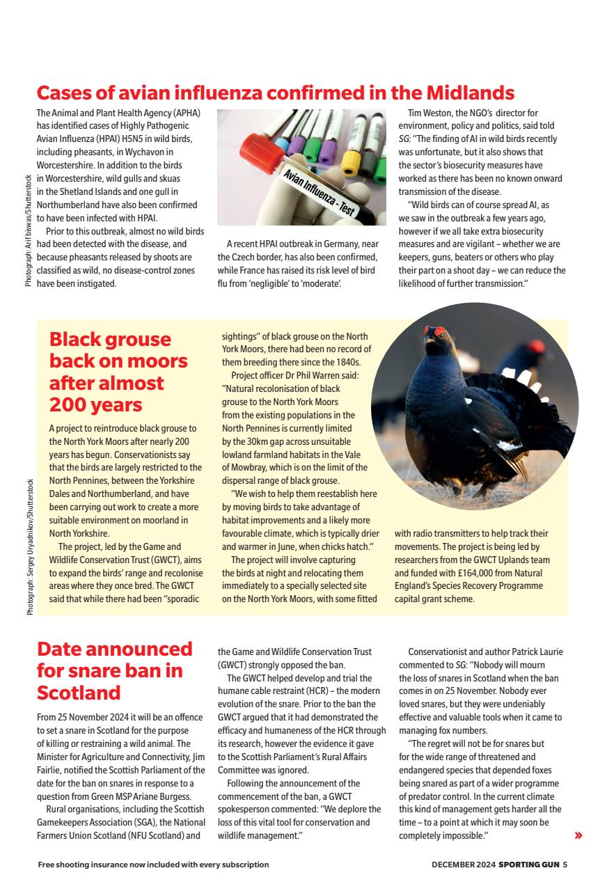 Sporting Gun Preview Pages