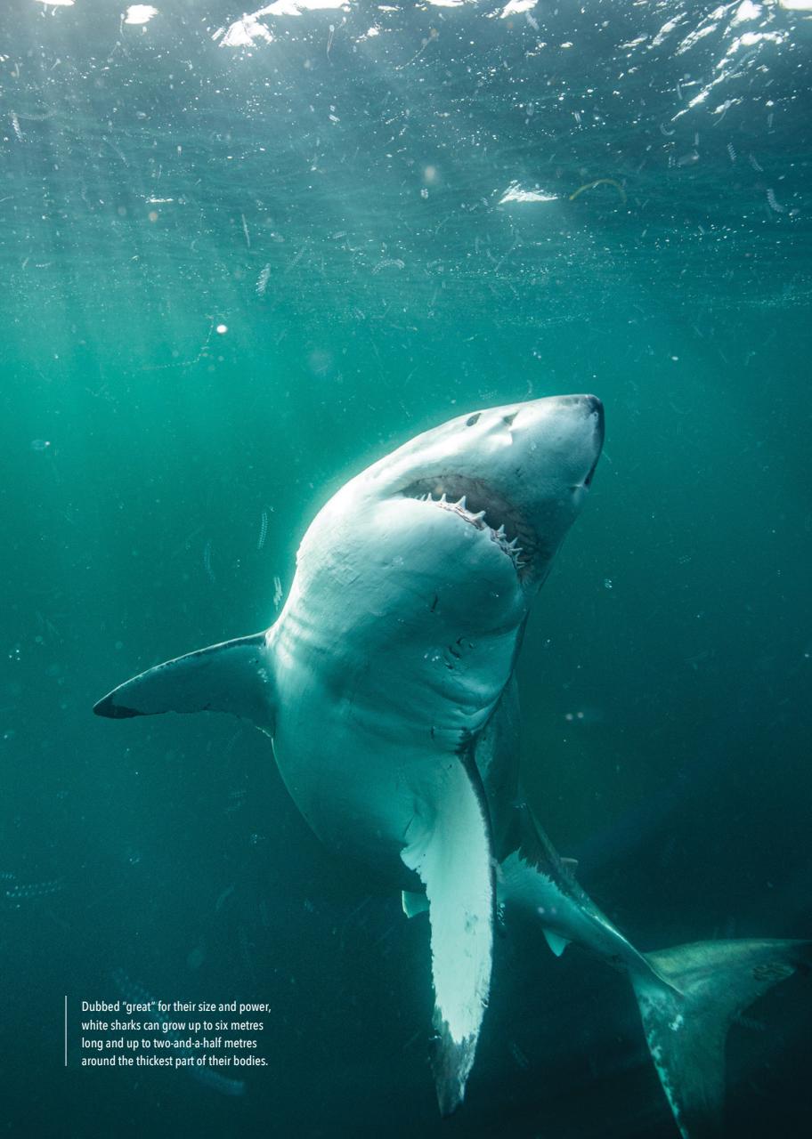 Canadian Geographic Preview Pages