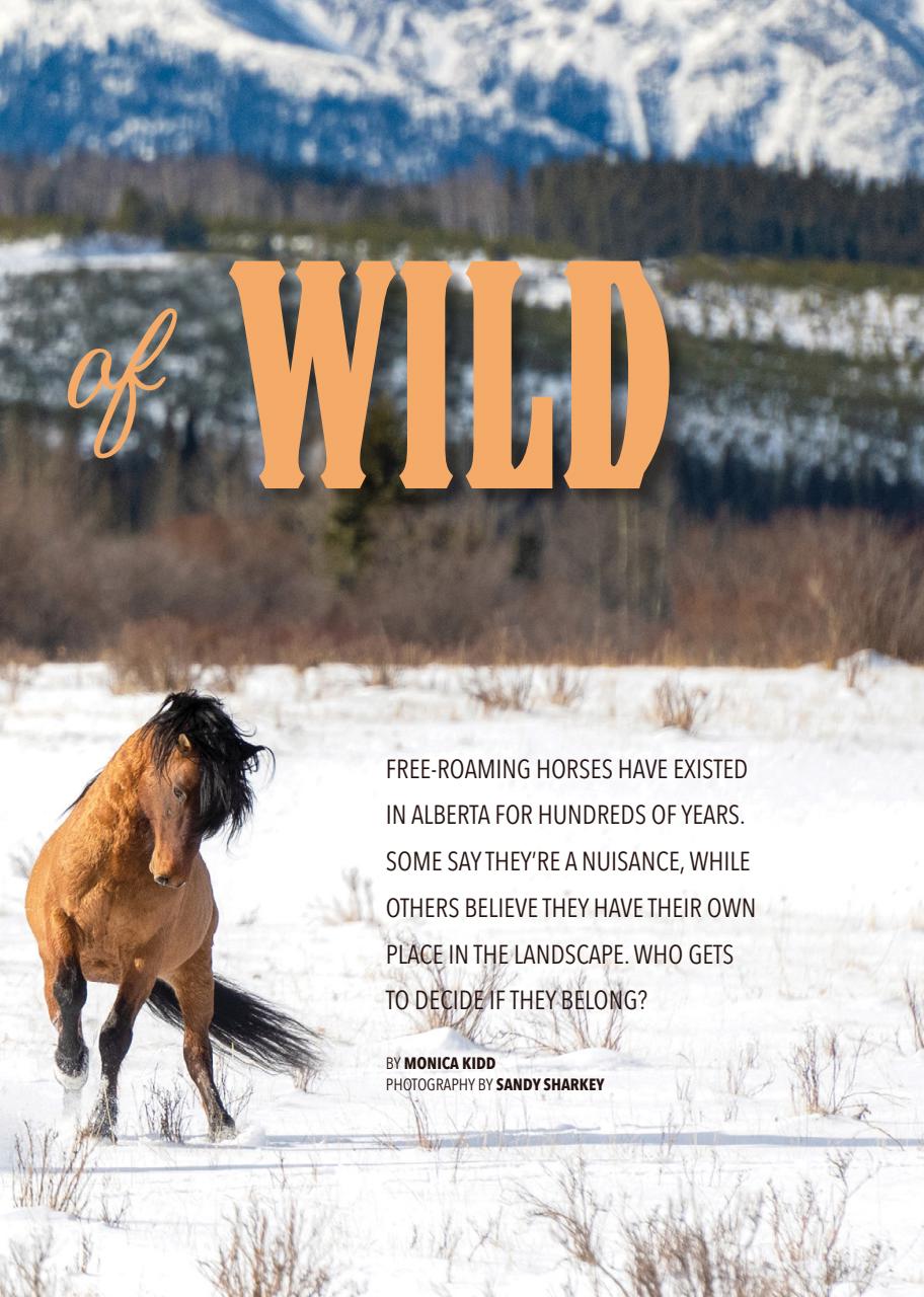 Canadian Geographic Preview Pages