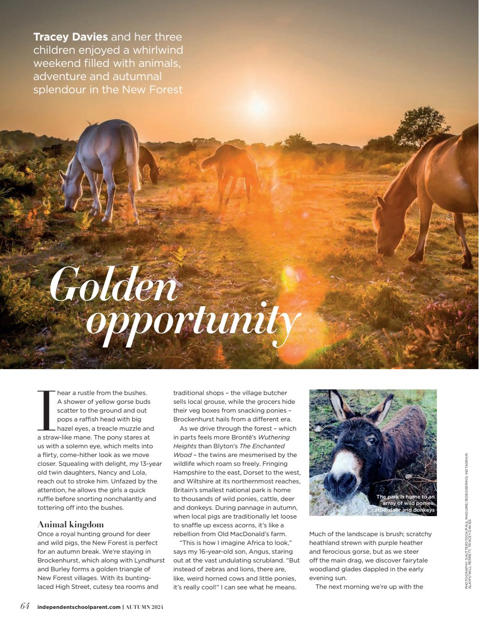 Independent School Parent Preview Pages