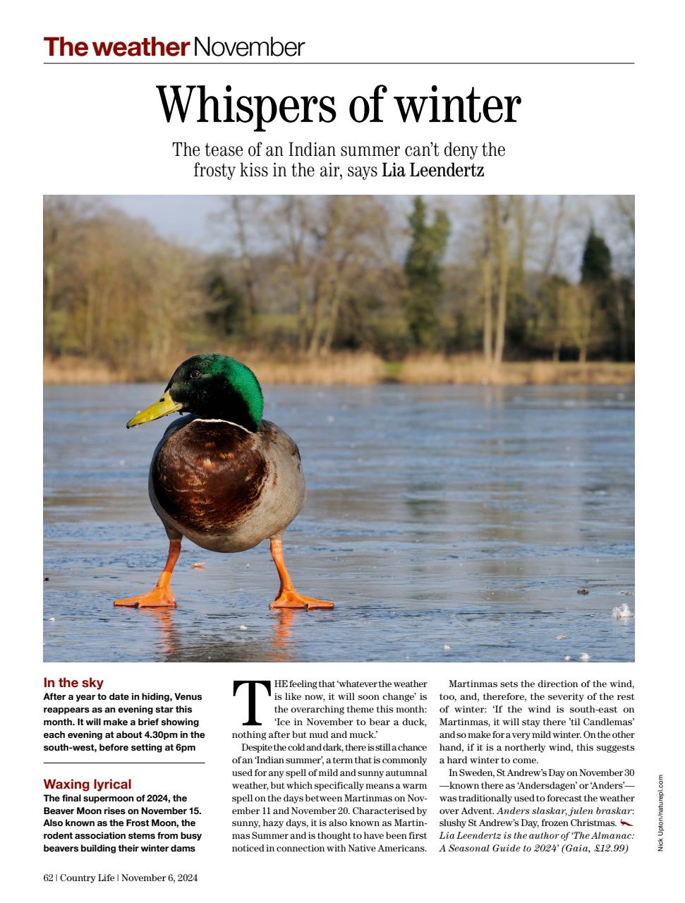 Country Life Preview Pages