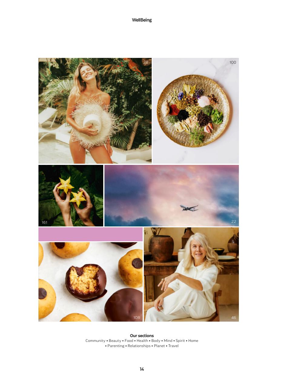 WellBeing Preview Pages