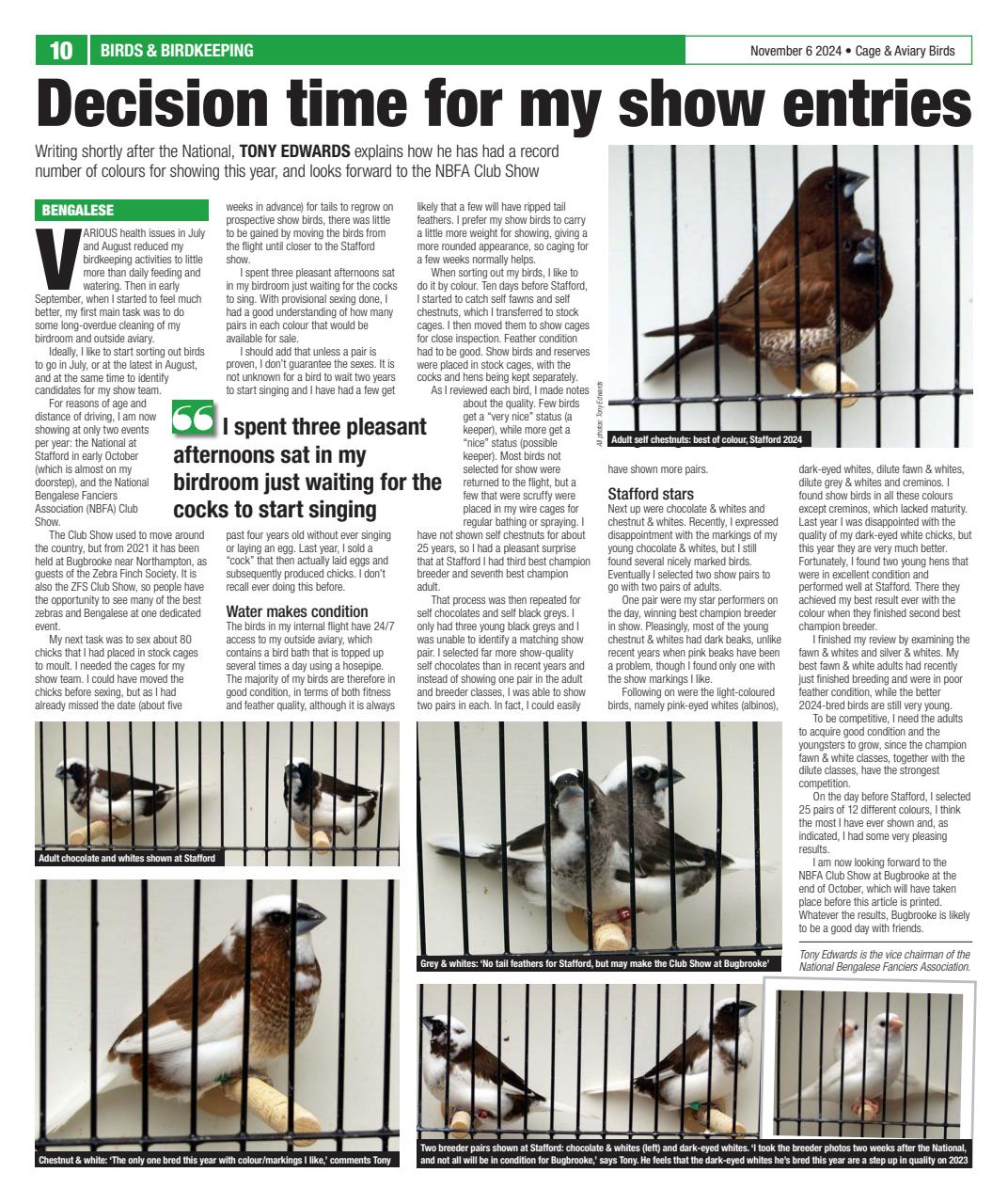 Cage & Aviary Birds Preview Pages
