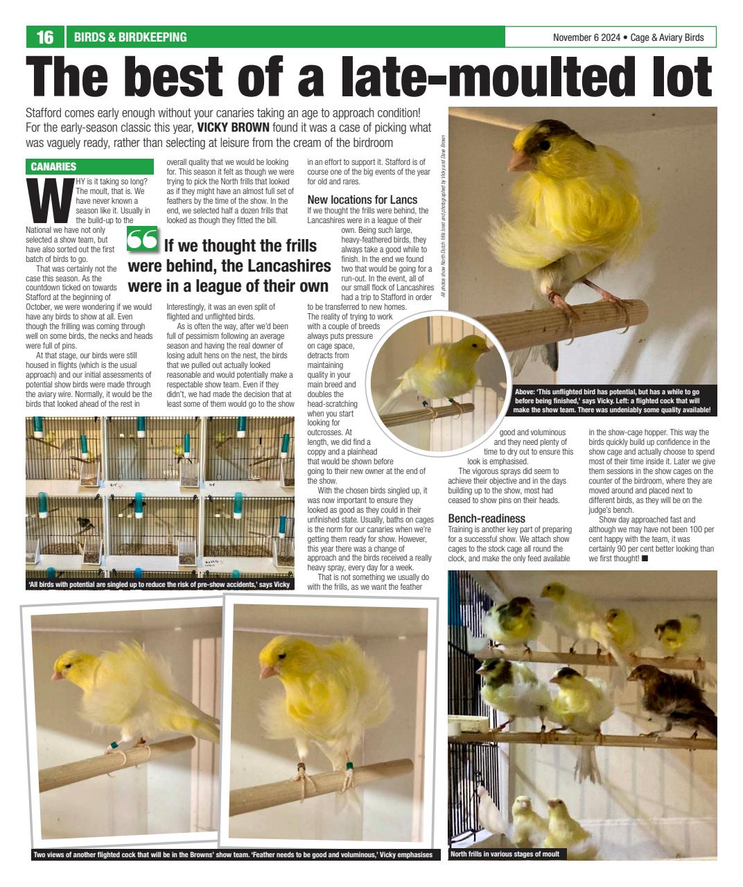 Cage & Aviary Birds Preview Pages