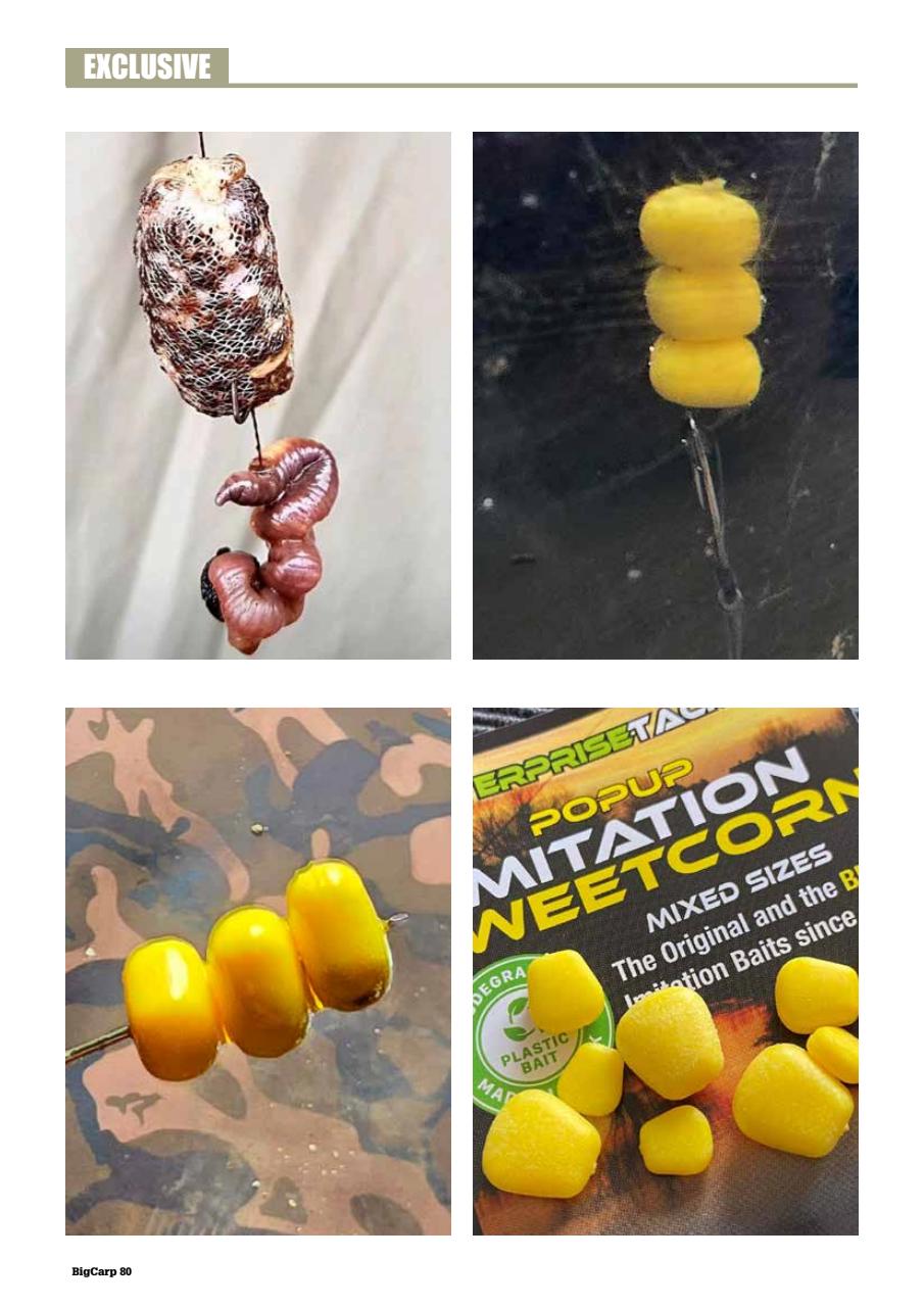 Big Carp Magazine Preview Pages