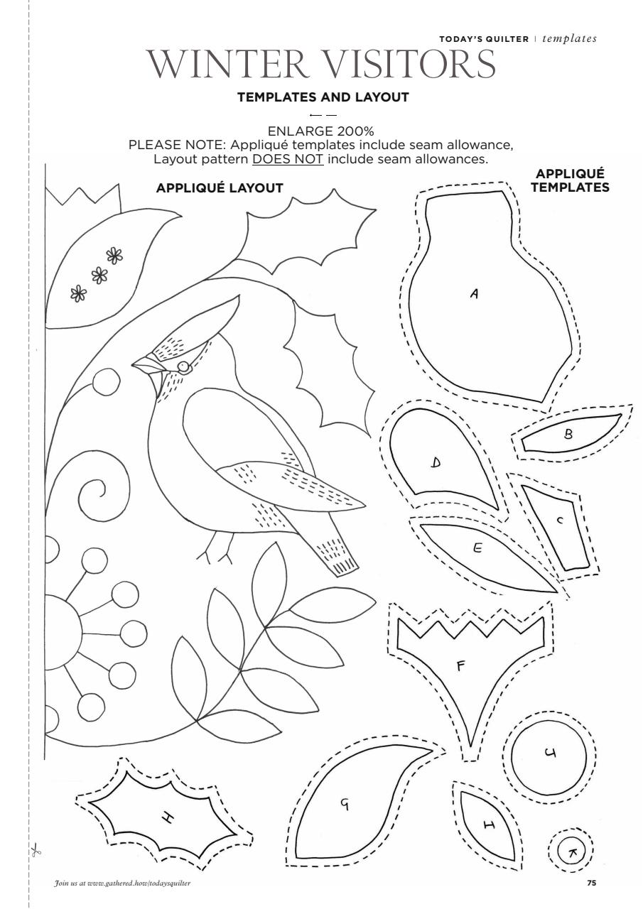 Today’s Quilter Preview Pages
