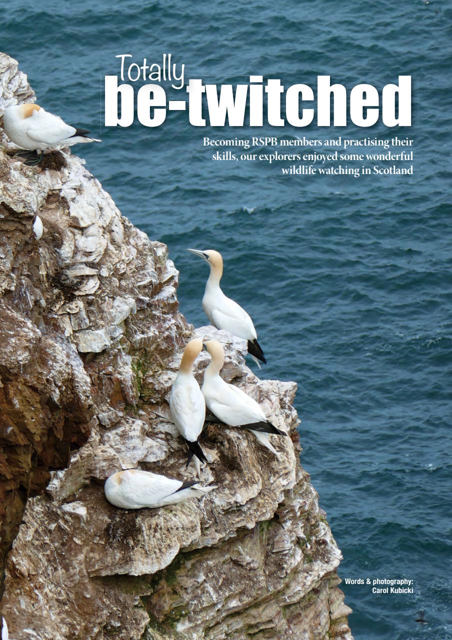 Caravan Magazine Preview Pages