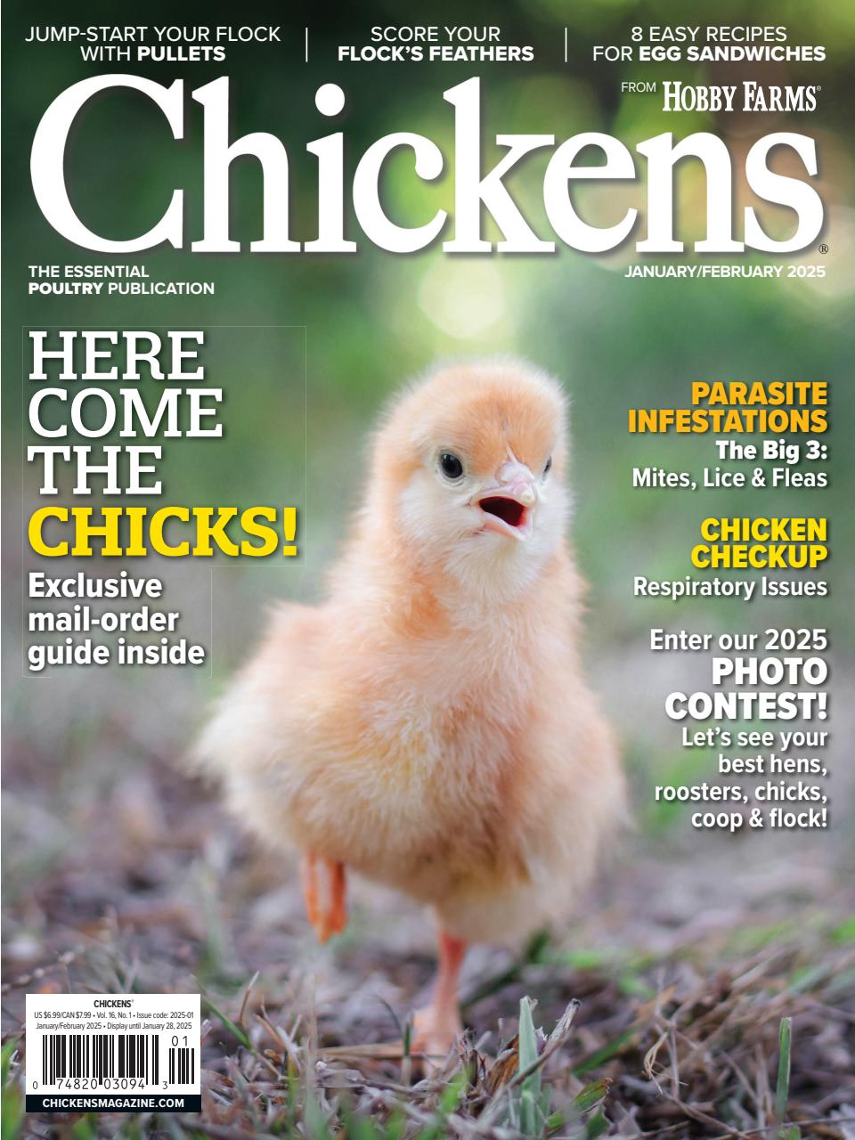 Chickens Magazine Preview Pages