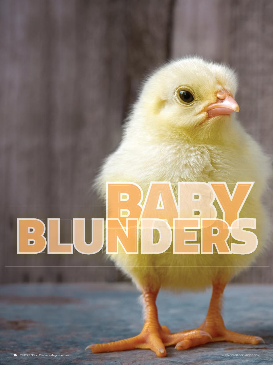 Chickens Magazine Preview Pages