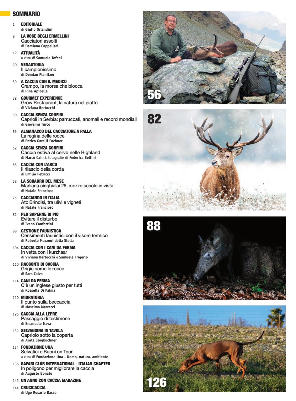 Caccia Magazine Preview Pages