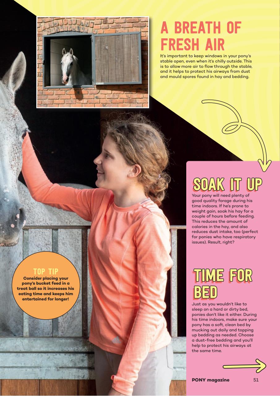 Pony Magazine Preview Pages