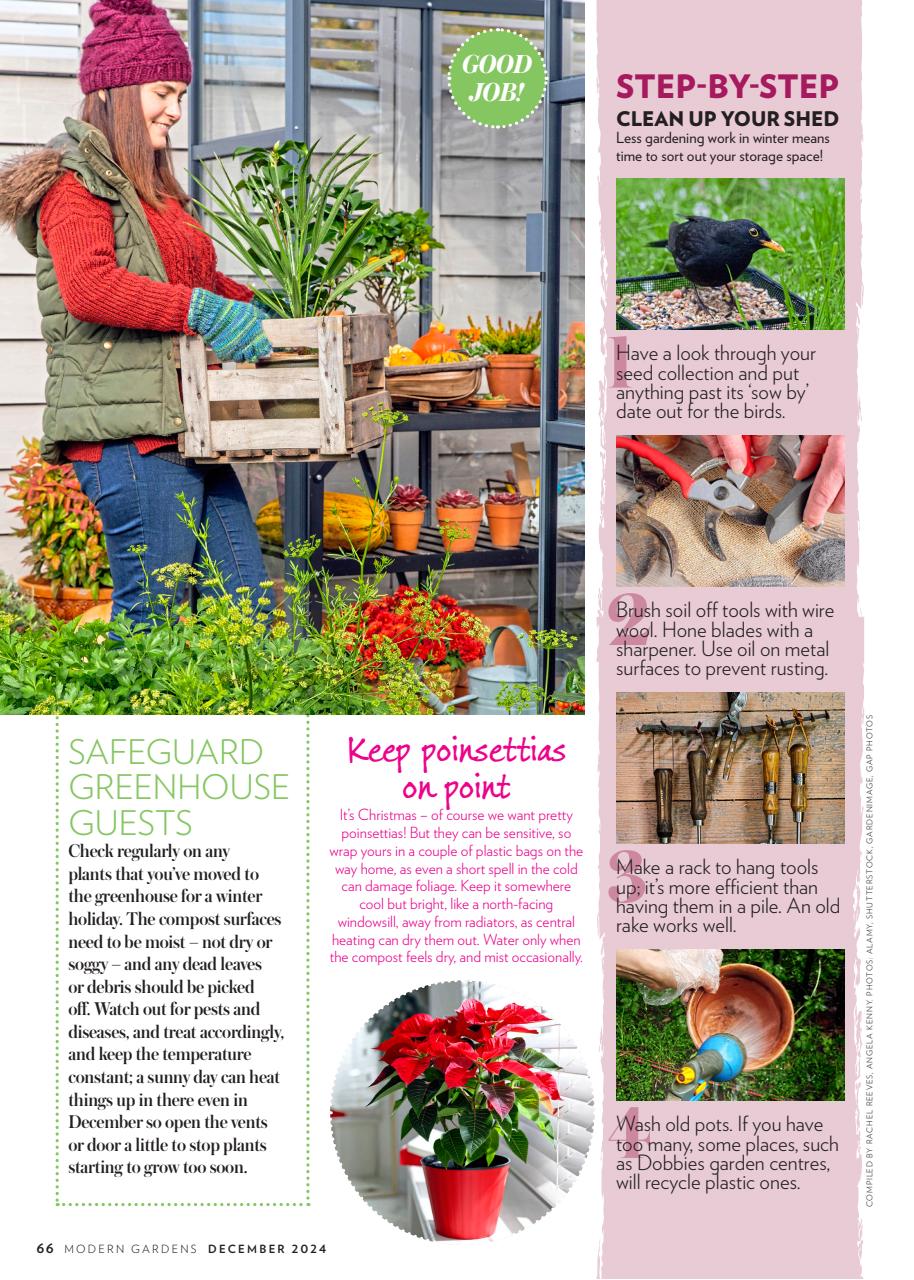 Modern Gardens Preview Pages