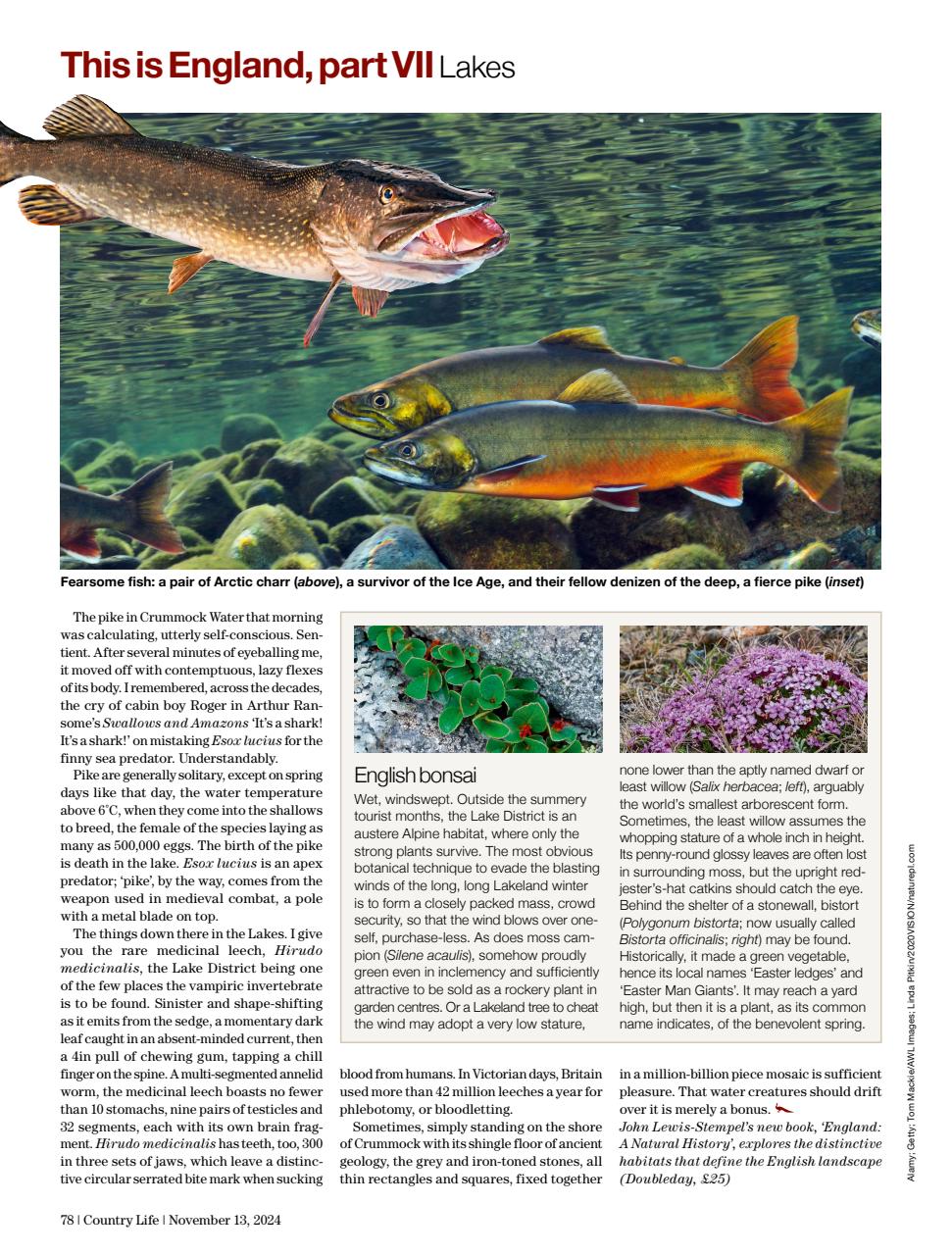 Country Life Preview Pages