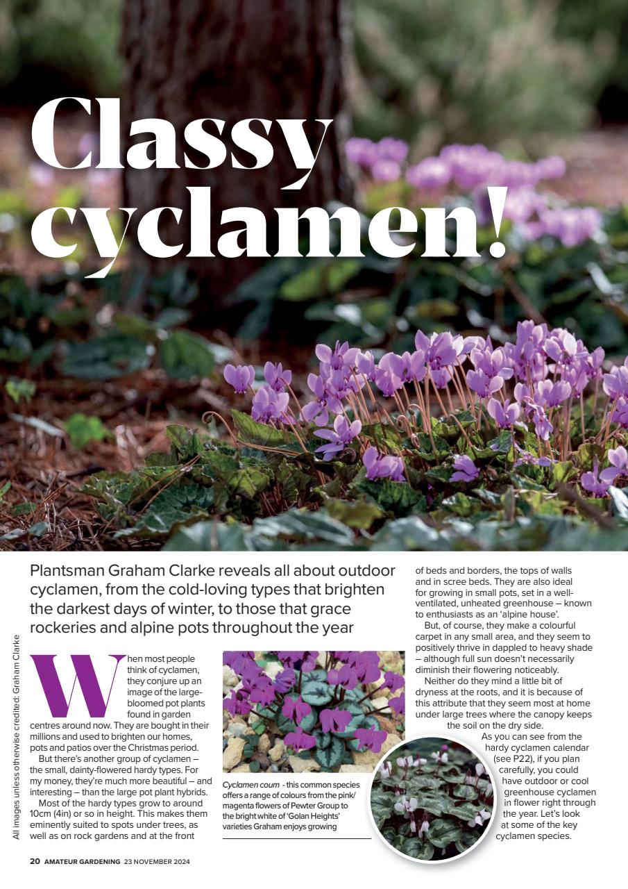 Amateur Gardening Preview Pages