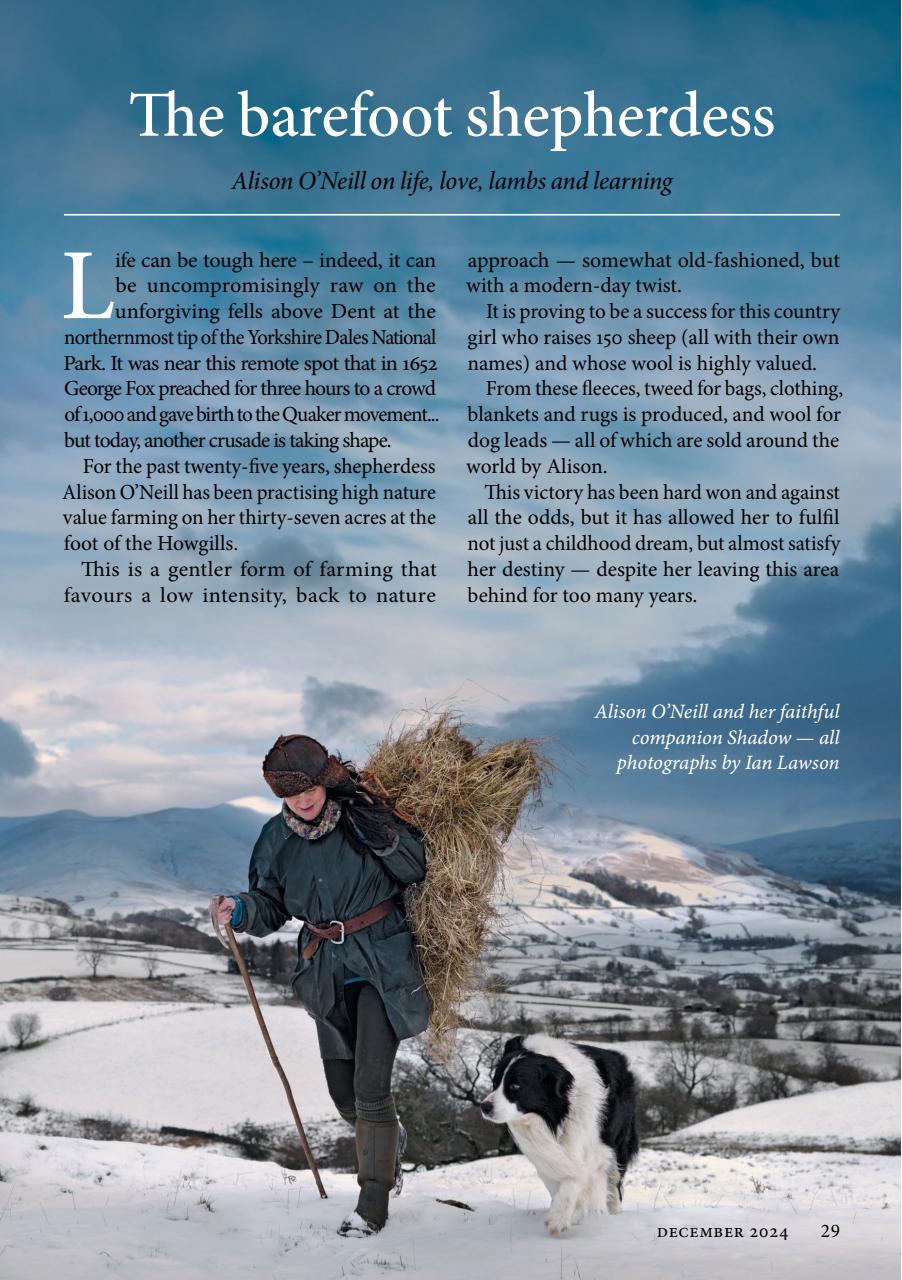 The Yorkshire Dalesman Preview Pages