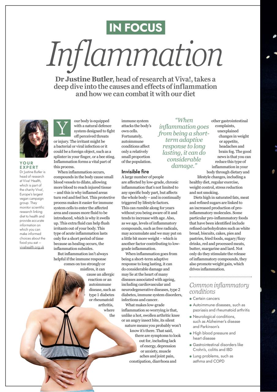 Vegan Food & Living Magazine Preview Pages