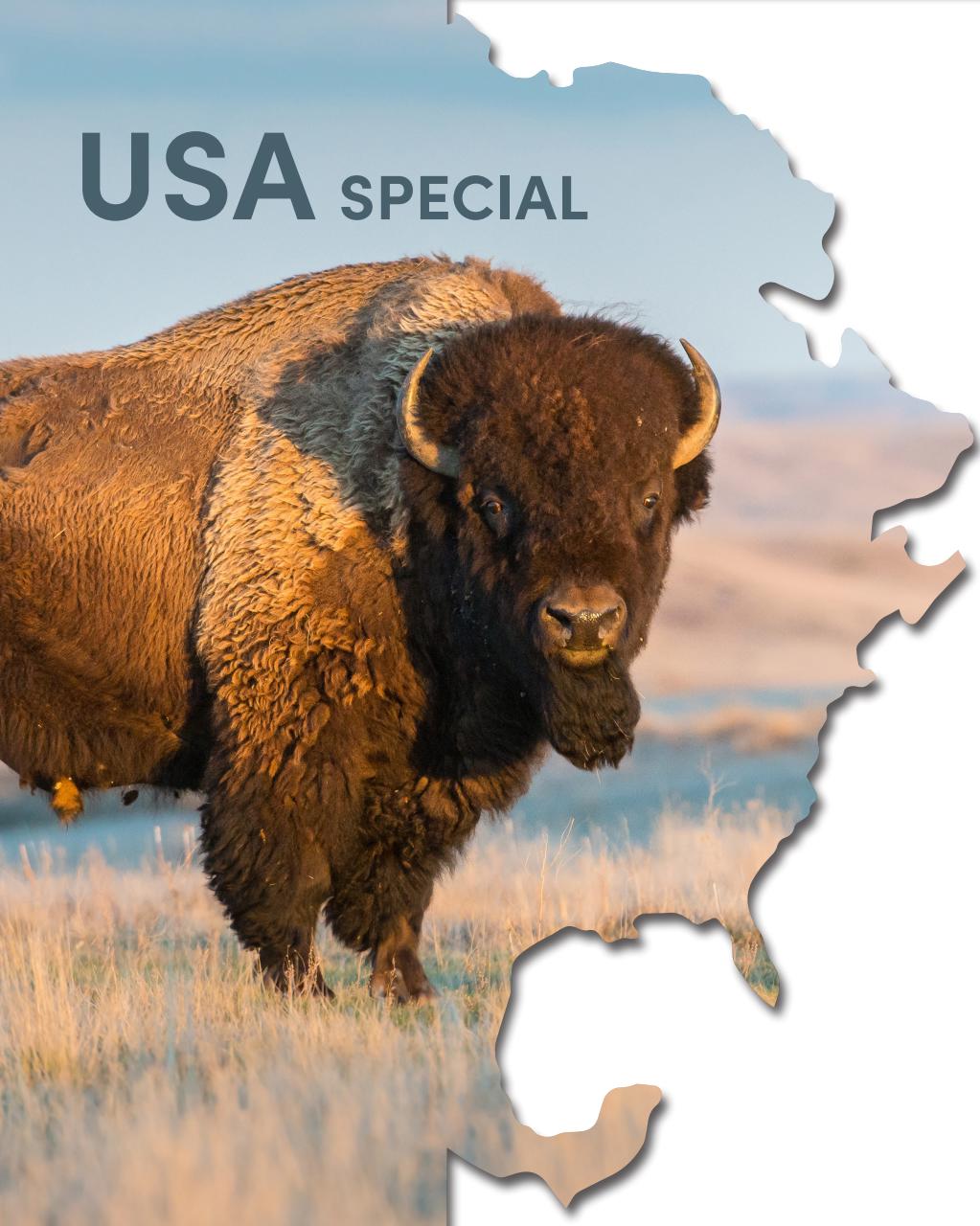 Mate Magazine Preview Pages