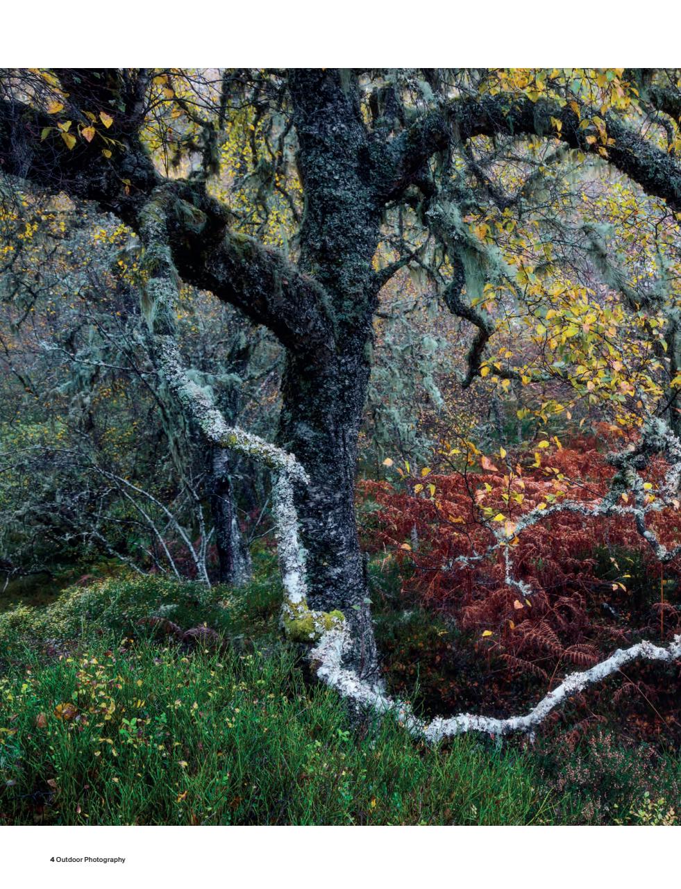 Outdoor Photography Preview Pages