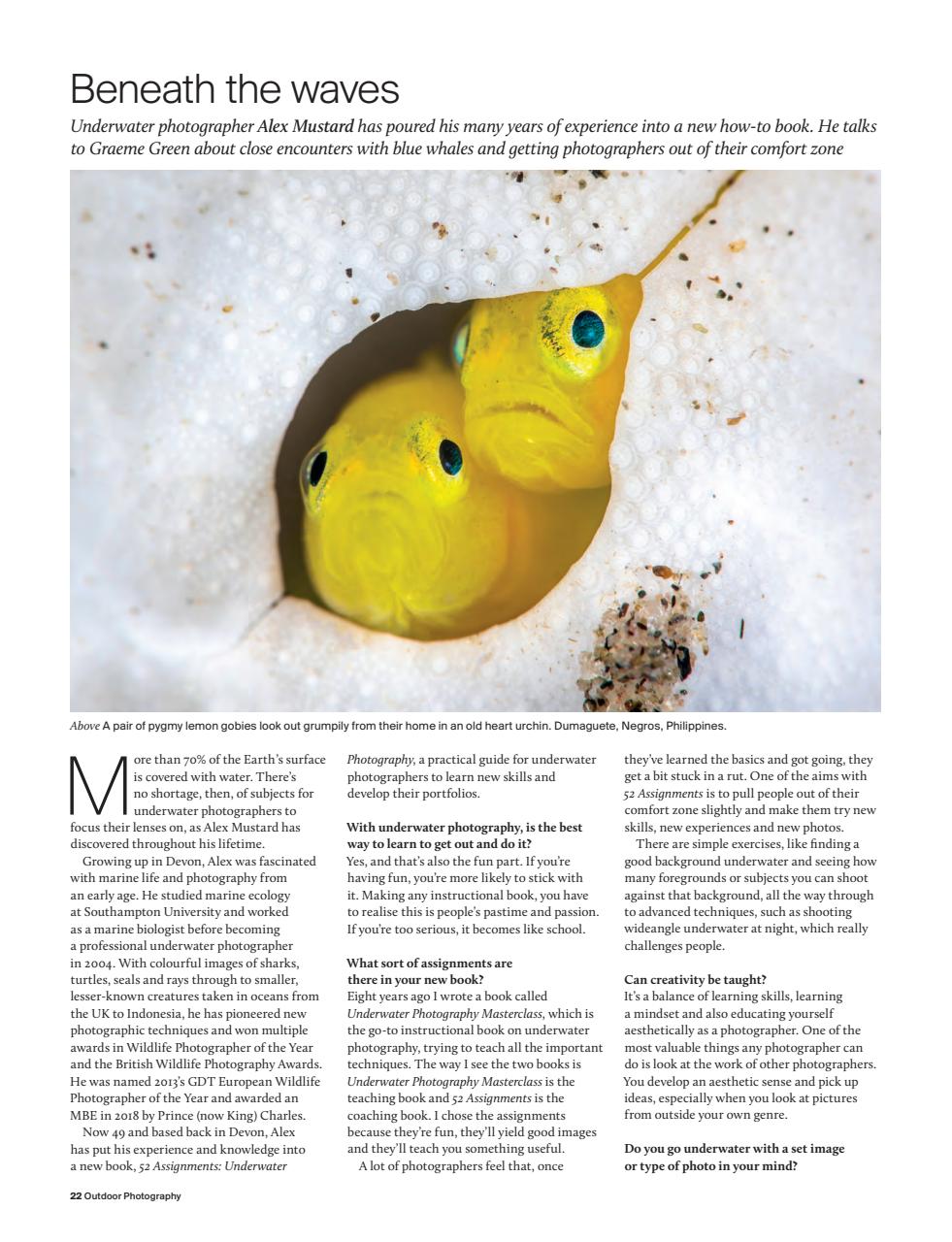 Outdoor Photography Preview Pages