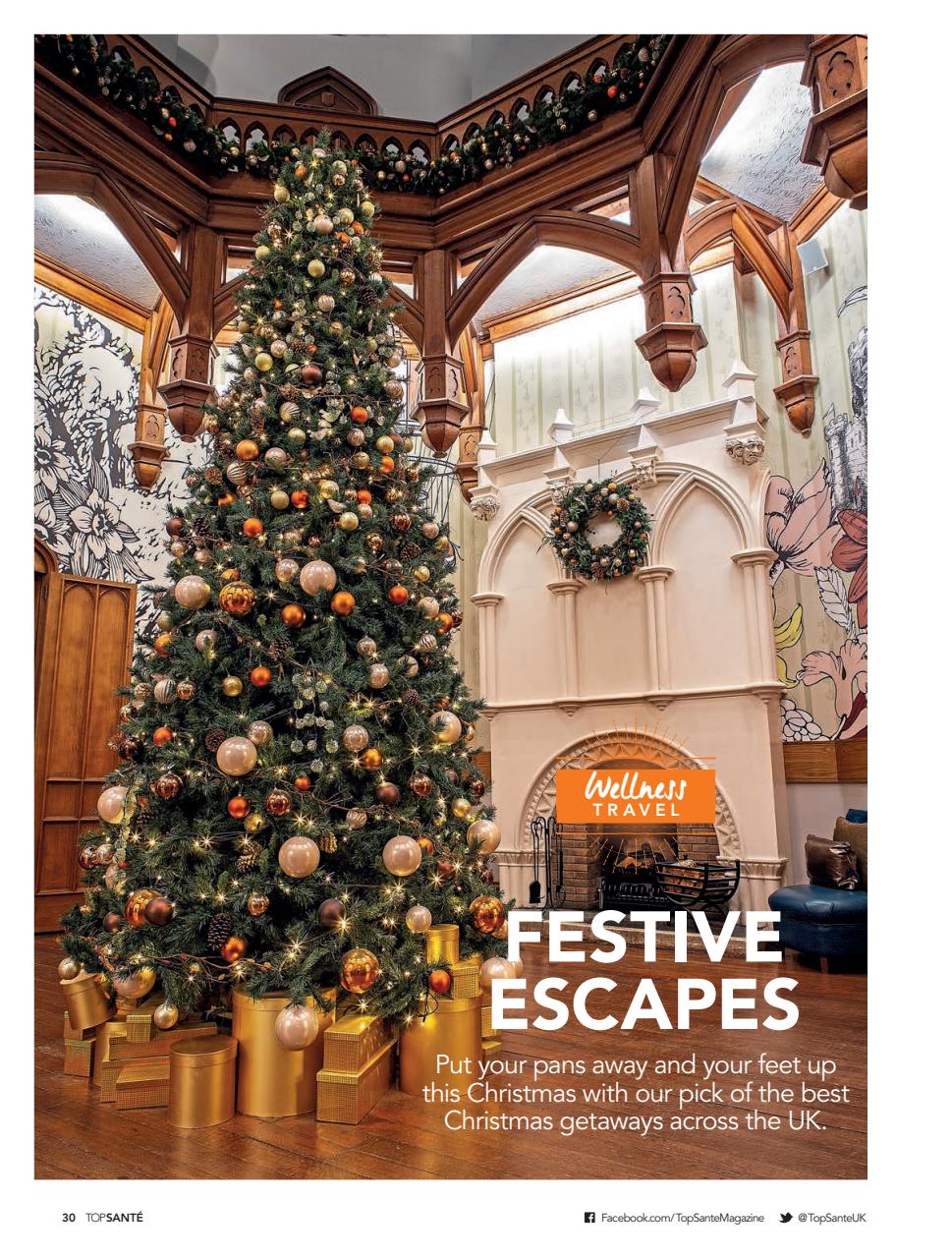 Top Sante Preview Pages