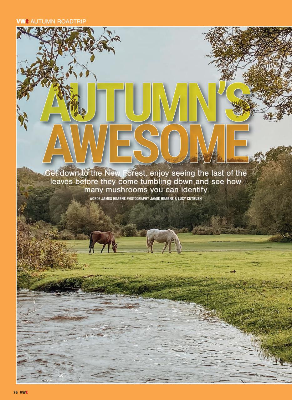 VWt Magazine Preview Pages