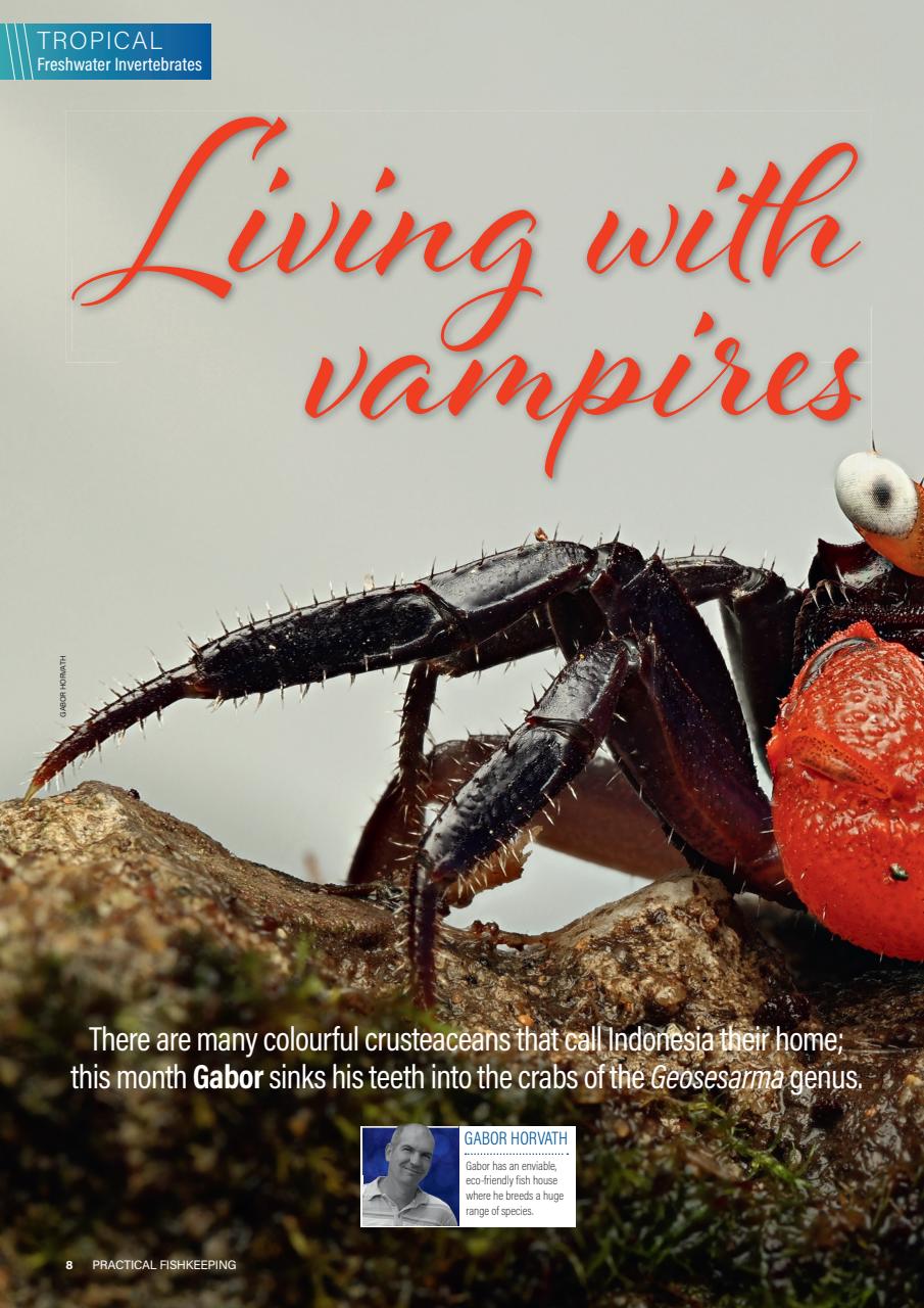 Practical Fishkeeping Preview Pages