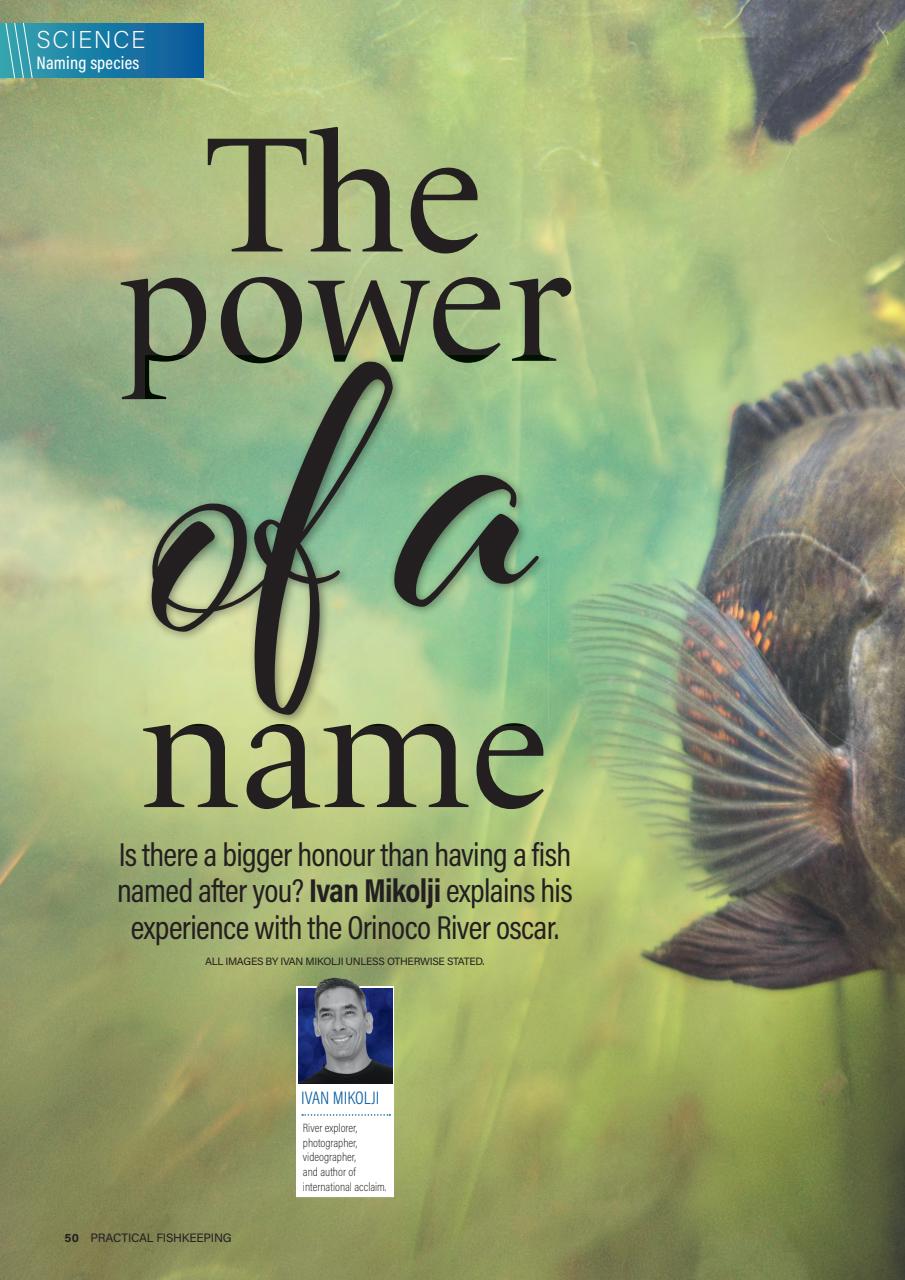 Practical Fishkeeping Preview Pages