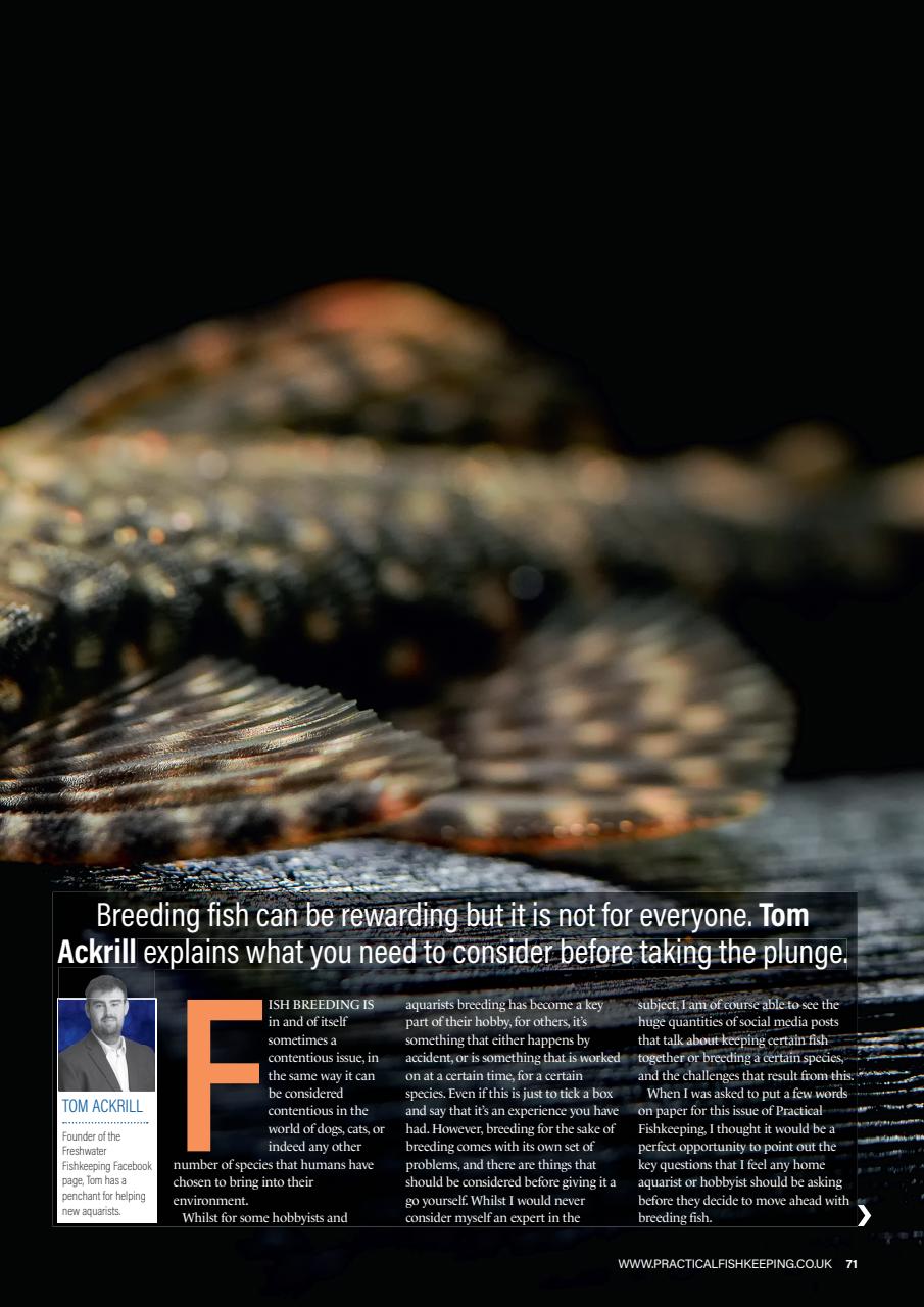Practical Fishkeeping Preview Pages