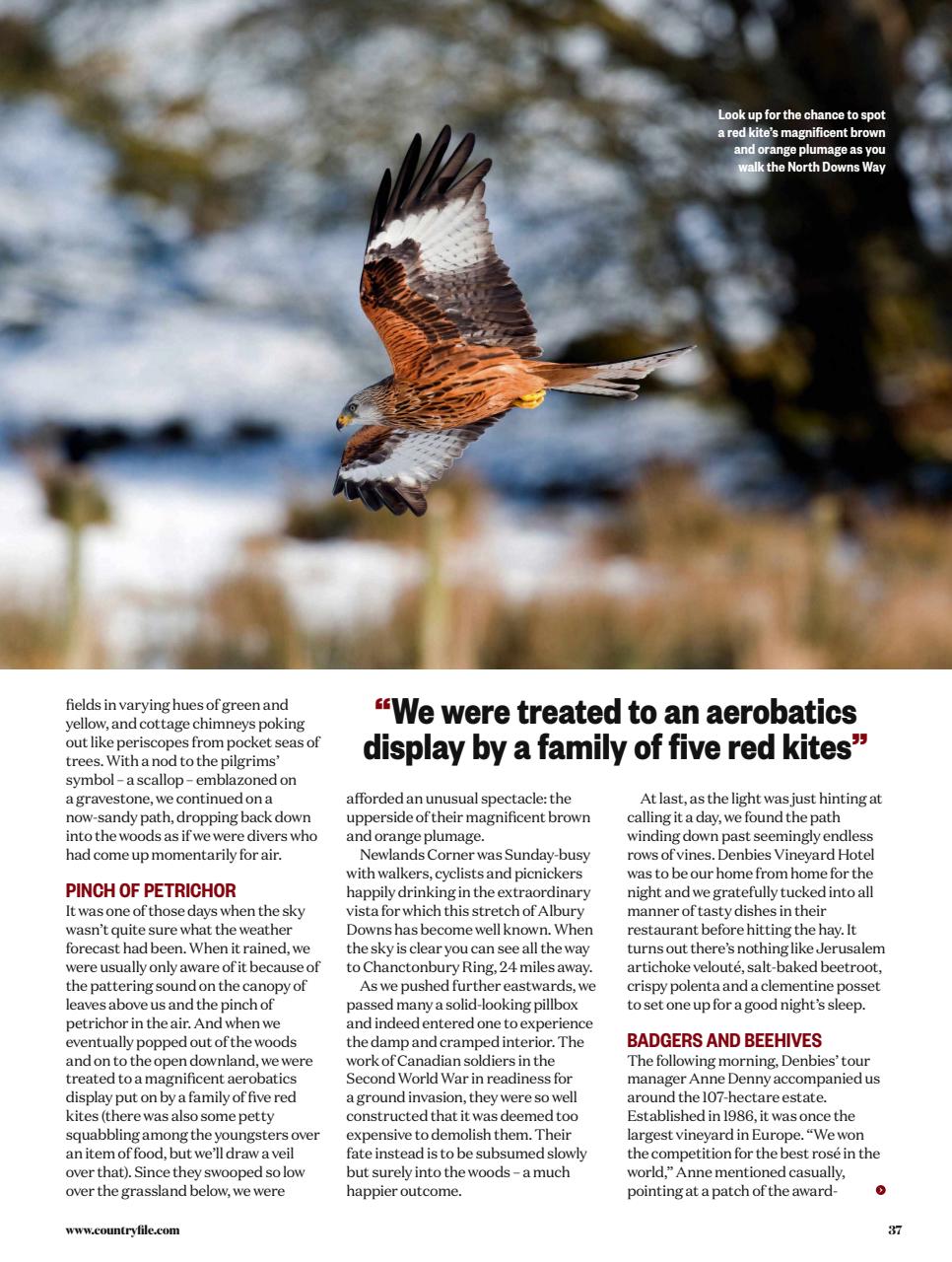 BBC Countryfile Magazine Preview Pages