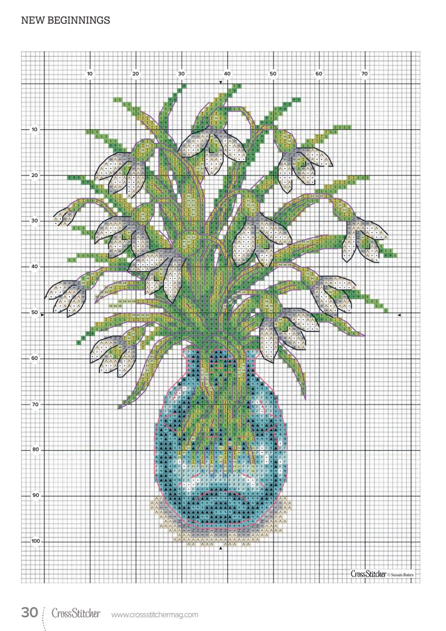 CrossStitcher Preview Pages