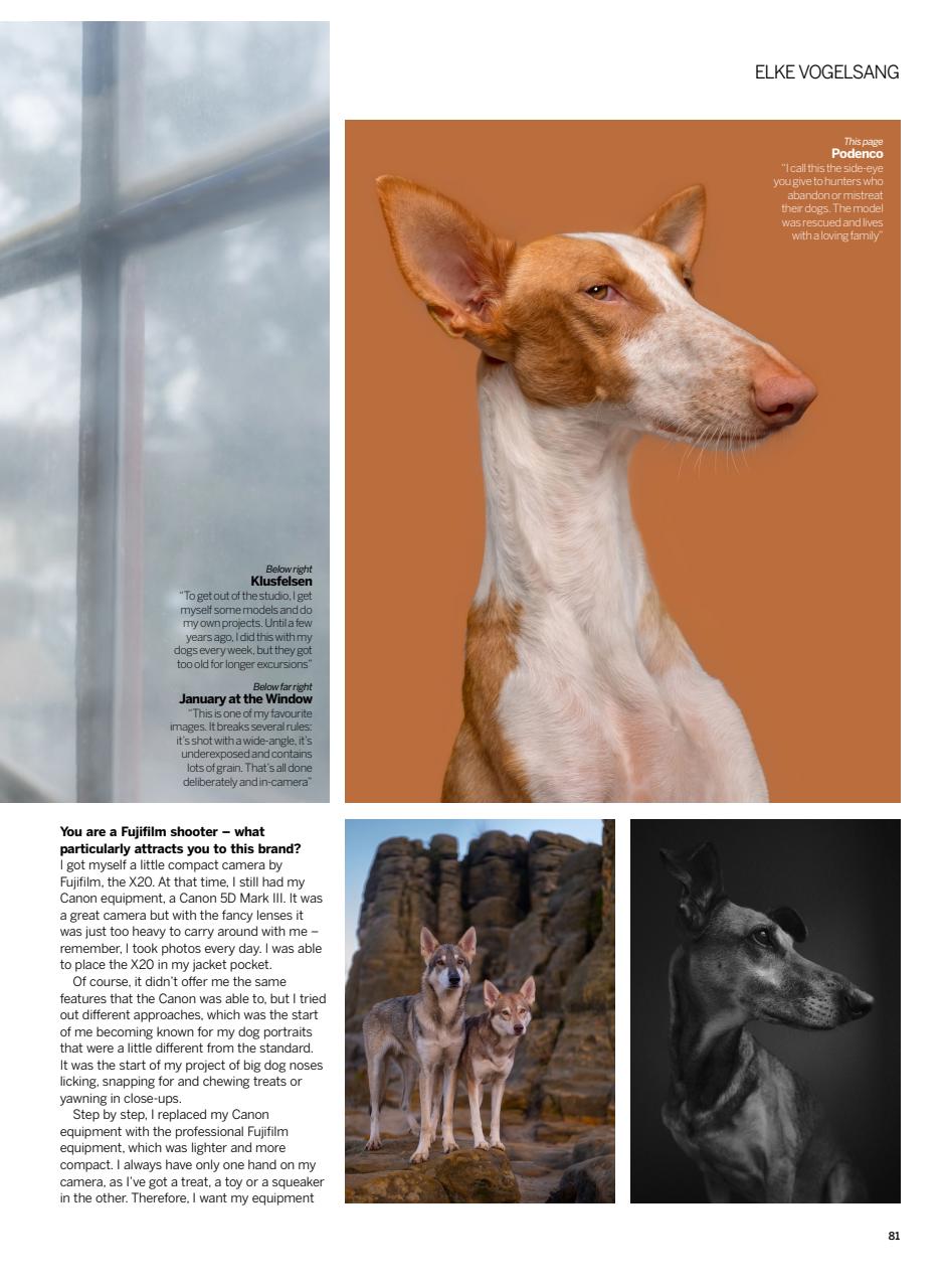 Digital Photographer Preview Pages