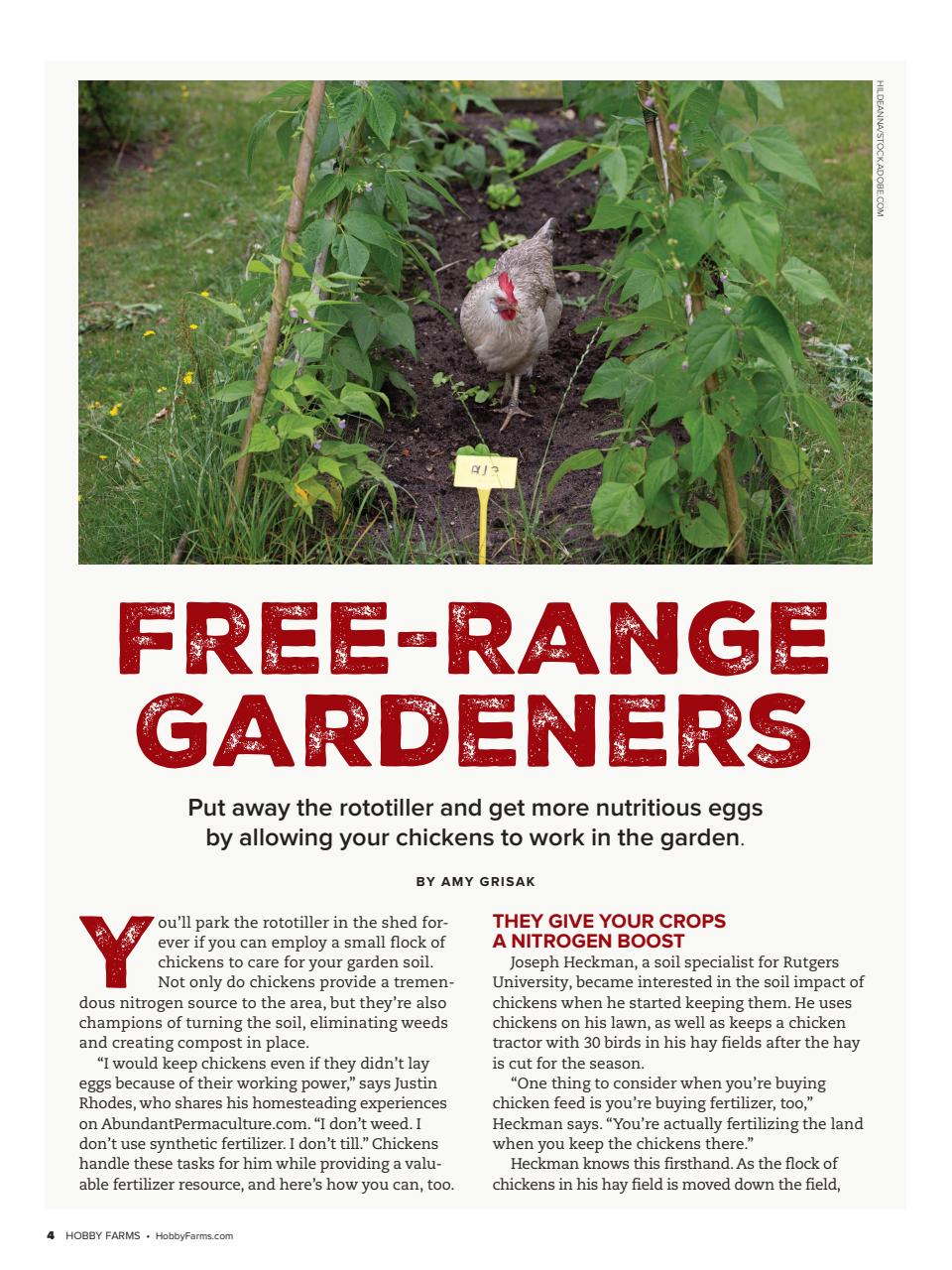 Hobby Farms Magazine Preview Pages