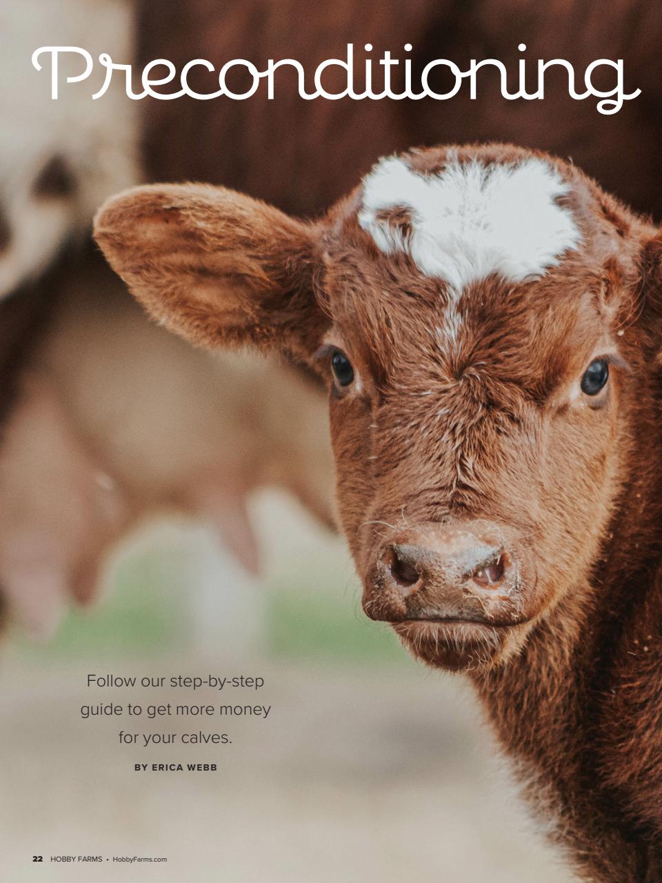 Hobby Farms Magazine Preview Pages